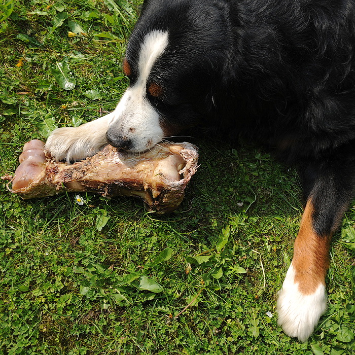 D30_8664 Kopie.jpg   26.04.jpg